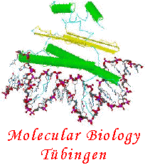 Molecular Biology